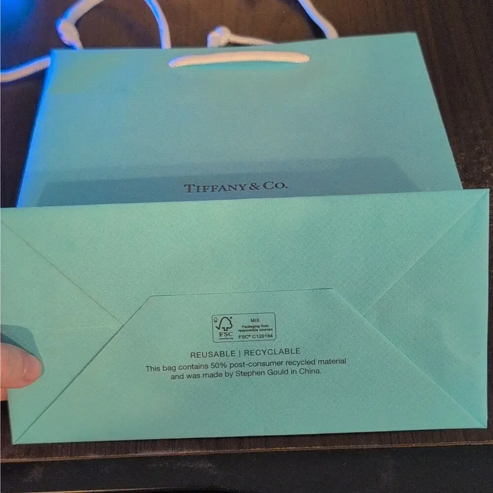 Tiffany & Co. Tiffany Blue Small Paper Gift Bag w/ White Rope Handles